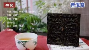 普洱茶养茶宠：适合养什么？有何好处？