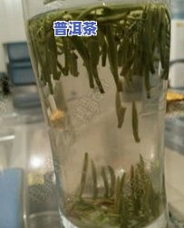 曼弄普洱茶口感：探索普洱曼弄古树茶的生茶特点