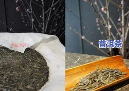 云南七子饼茶普洱熟茶如意357克价格查询