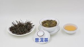 怎样选择普洱茶茶厂家：关键要素与推荐