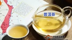 采摘普洱茶怎么泡水好呢视频，独家揭秘：怎样用普洱茶采摘的更好方法冲泡出美味口感？看视频就知道！