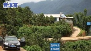 冰岛老寨茶价格表全览：深入了解藏茶价值与市场行情