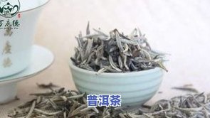 冰岛老寨古树茶白毫-冰岛古树白茶价格