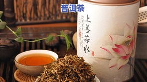 滇红茶叶与普洱茶区别大吗为什么，探究滇红茶叶与普洱茶的差异：它们有何不同？