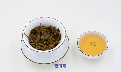 胃不好普洱茶喝多少量-胃不好普洱茶喝多少量合适