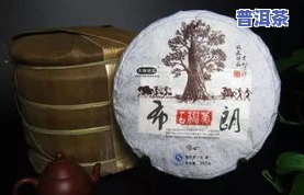 普洱茶防潮袋异味吗能喝吗-普洱茶防潮袋异味吗能喝吗有吗