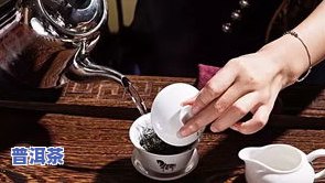 普洱茶评茶流程-普洱茶评茶流程图