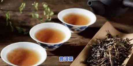 陈皮茶可以煮普洱茶吗功效-陈皮茶可以煮普洱茶吗功效与作用