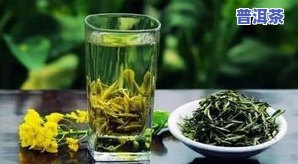 冰岛是黑茶吗？绿茶、白茶还是两者皆有？