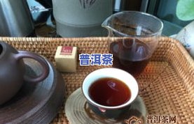 吉普赛普洱茶-吉普号普洱茶