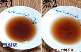 吉普赛普洱茶-吉普号普洱茶