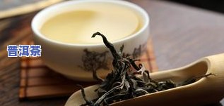 普洱薄荷糖是什么茶，「揭秘」普洱薄荷糖：它究竟是什么茶？