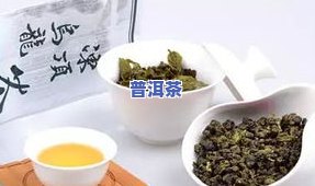 冻顶乌龙茶是什么茶？详解其种类与特点