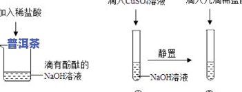 探究云南冰岛散茶的独特韵味及其品种特性