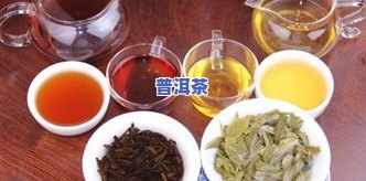 普洱生茶熟茶价格比较：两者是不是相同？