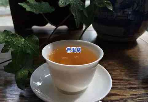 普洱茶试茶实例图片，品味云南风情：普洱茶试茶实例图片欣赏