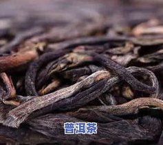 弯弓普洱茶生茶价格，弯弓普洱茶生茶价格详解，一文带你熟悉市场价格