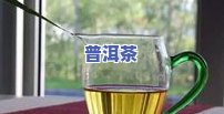 冰岛茶适合哪个季节饮用？详解更佳冲泡时机与方法