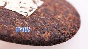 普洱报春芽：春季新品，价格怎样？详解春芽特点