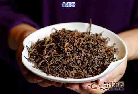 探究云茶普洱茶的用料种类与品种