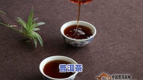 探究云茶普洱茶的用料种类与品种