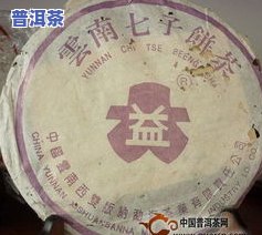 普洱茶对老年人的功效：全面解析与作用