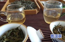 冰岛五寨茶哪个最多更好喝，探讨冰岛五寨茶的品种与口感，哪一款最值得品尝？