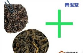 人在做普洱茶-人在做普洱茶怎么样