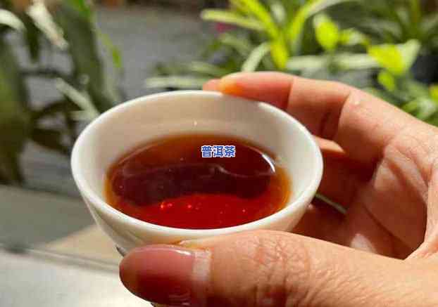 普洱茶什么样的好喝一点-普洱茶什么样的好喝一点呢