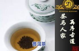 泡开了的普洱茶能过夜吗？安全饮用有讲究