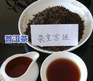 紫山玉韵普洱茶：价格一览