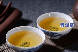 普洱茶上的菌类有哪些，探秘普洱茶：揭秘其上常见的菌类种类