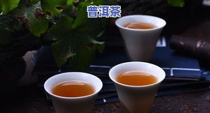 普洱茶苦涩是怎么样的呢，解密普洱茶的苦涩口感：它是怎样的体验？