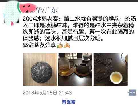 探究冰岛生茶的特别口感与特点