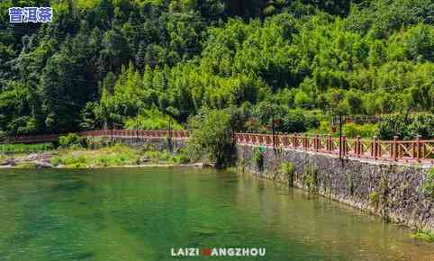 绿水青山是什么茶叶，揭秘绿水青山：茶叶的绿色传奇