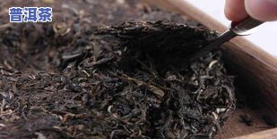 深入了解：普洱茶叶与茶梗的关系及其重要性