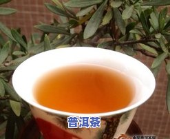 普洱茶叶苦：好坏如何评价？