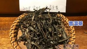 黎明茶厂冰岛古树茶-黎明星火茶厂冰岛古树