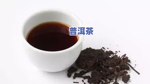 普洱茶1997-普洱茶1997年还能喝不