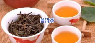 福建普洱茶排行榜：前十名一览