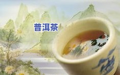 辽宁产茶叶，探索辽宁的茶文化：揭秘本土茶叶的魅力与特色