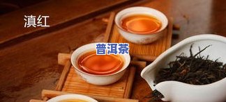 中等价位的茶叶推荐-中等价位的茶叶推荐