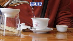 探索普洱茶的山野气息与气韵，品味大自然的味道