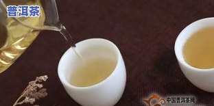 普洱茶要蒸吗为什么，普洱茶需要蒸煮吗？原因解析