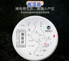 易武普洱茶好？值得购买吗？全面解析