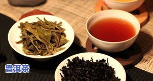 普洱茶包泡法：如何冲泡出美味好茶？