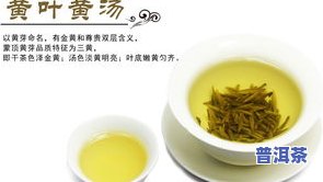 什么价位的茶叶性价比更高？各大茶叶比较评测，帮你选出最划算的好茶！