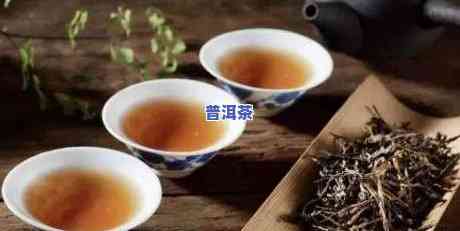 云南普洱茶的基本种类-云南普洱茶的基本种类有哪些