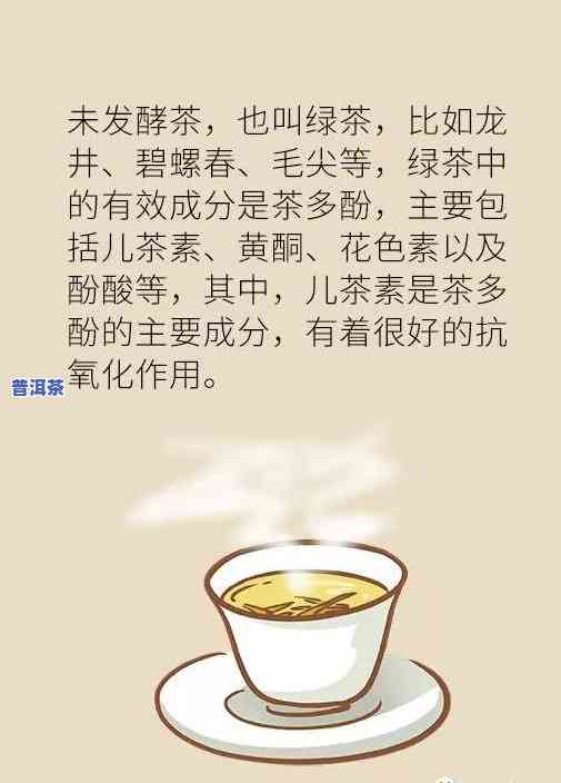 冬天喝普洱茶有好处吗，探究冬季喝普洱茶的益处