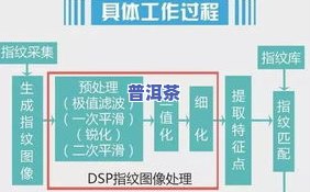 探究冰岛茶后期转化：方法与过程解析